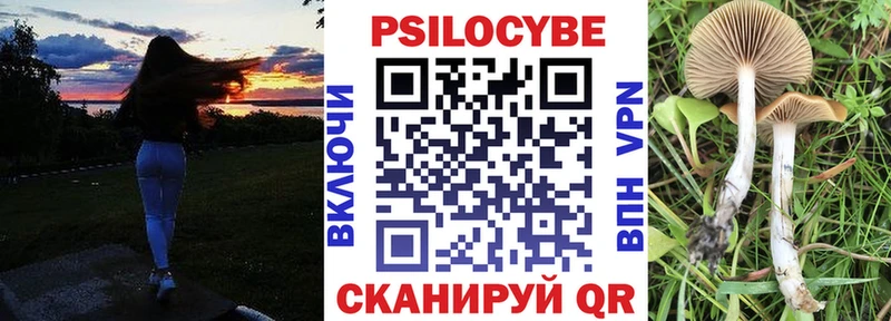 Псилоцибиновые грибы Psilocybine cubensis  продажа наркотиков  Тейково 