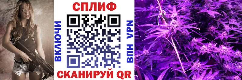 где продают   Тейково  МАРИХУАНА MAZAR 
